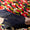 Printed scarf
