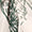 Printed scarf