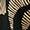 Printed pants